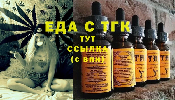 индика Алзамай