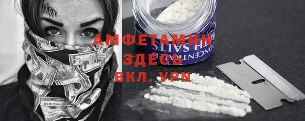 индика Алзамай