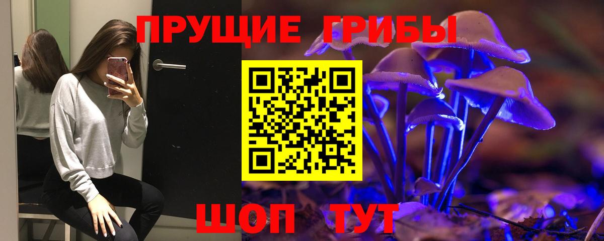 Боровичи  Псилоцибиновые грибы Psilocybe  Вход с VPN 