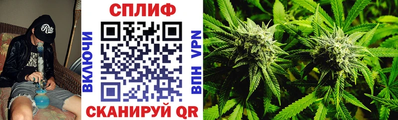 Бошки марихуана THC 21%  хочу наркоту  Боровичи 